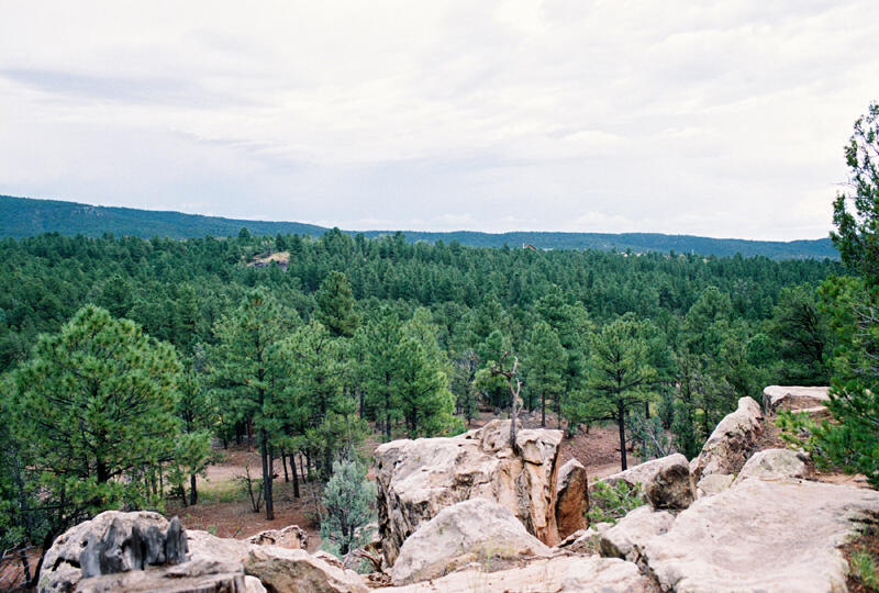 Photo 3 of Land for sale at B51 & Cow Crk Rd, Pecos, NM 87552 | MLS# 1112581 | Listing updated on 2026-10-16