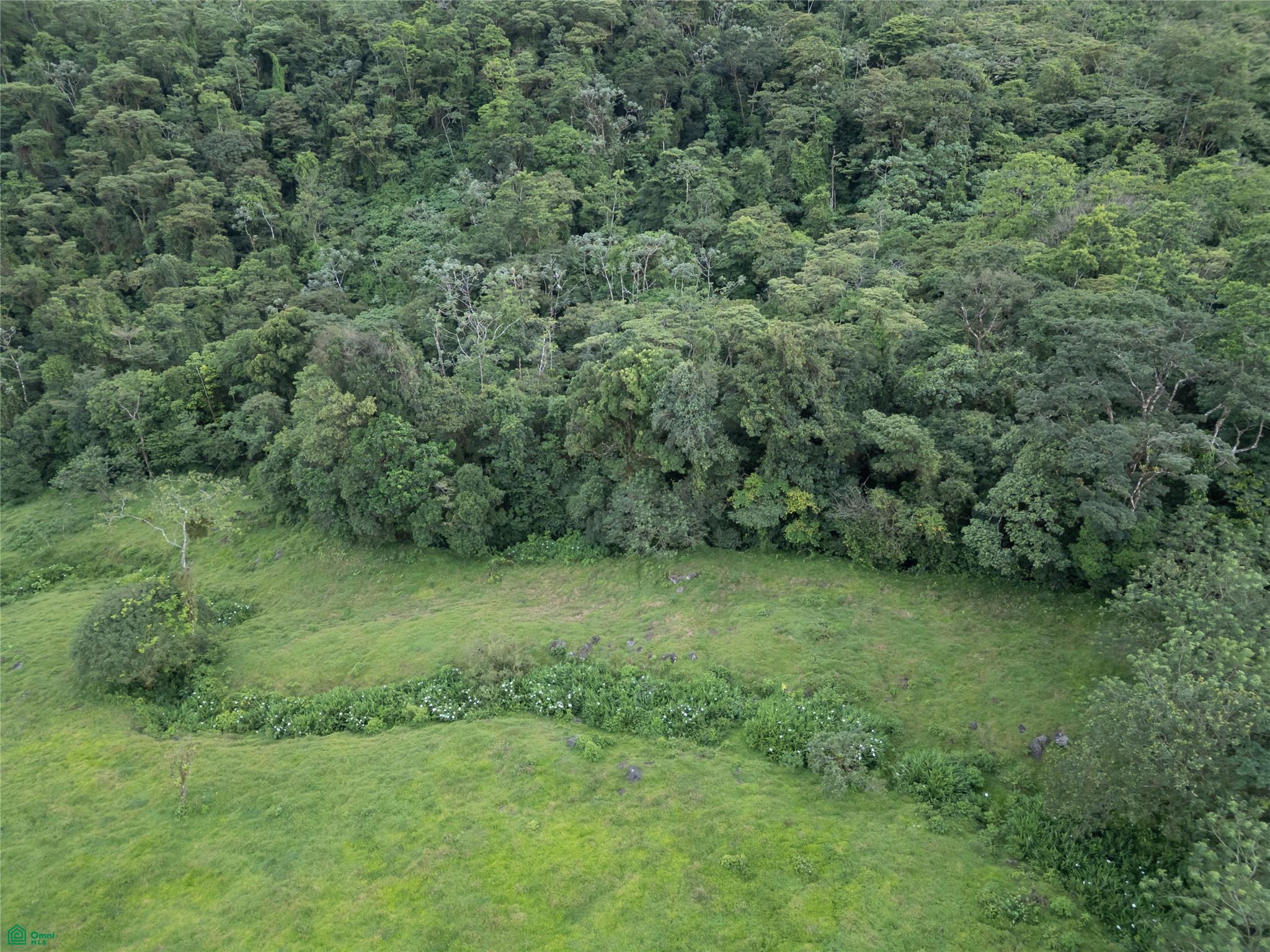  bed Land For Sale in Upala, Alajuela - 1