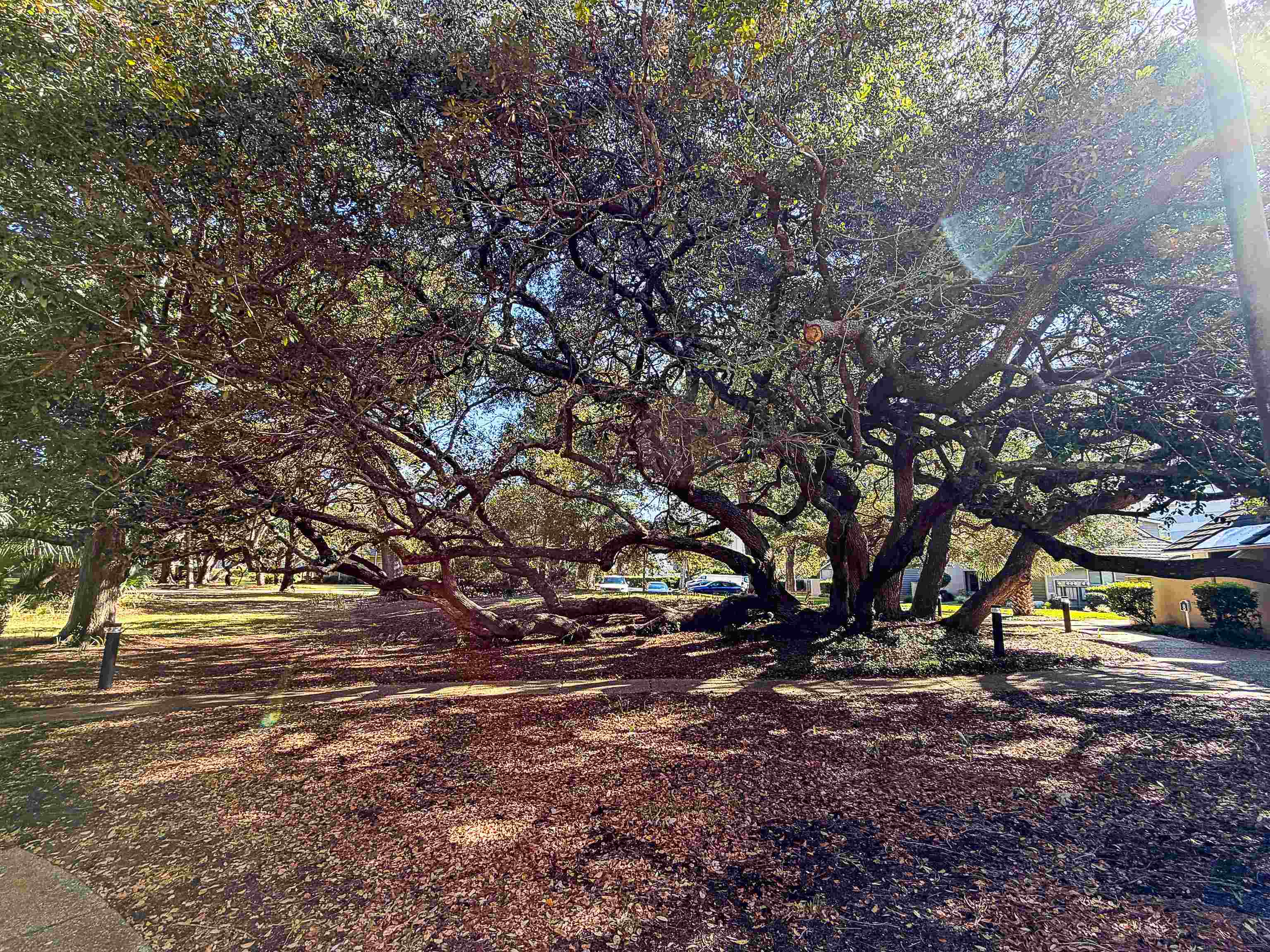 2626297 | Photo 2