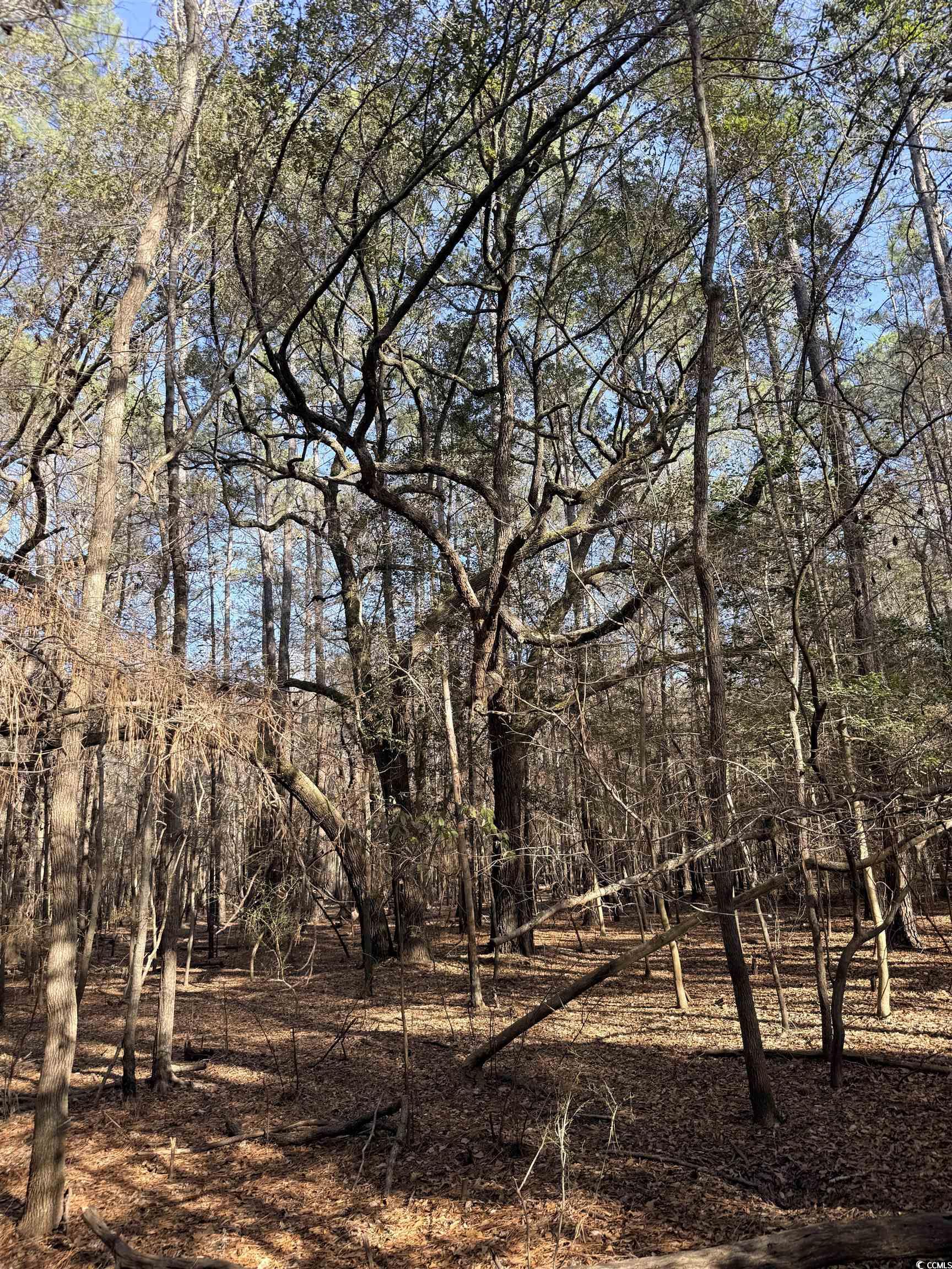 444 Bryants Landing Rd. Conway, SC 29526