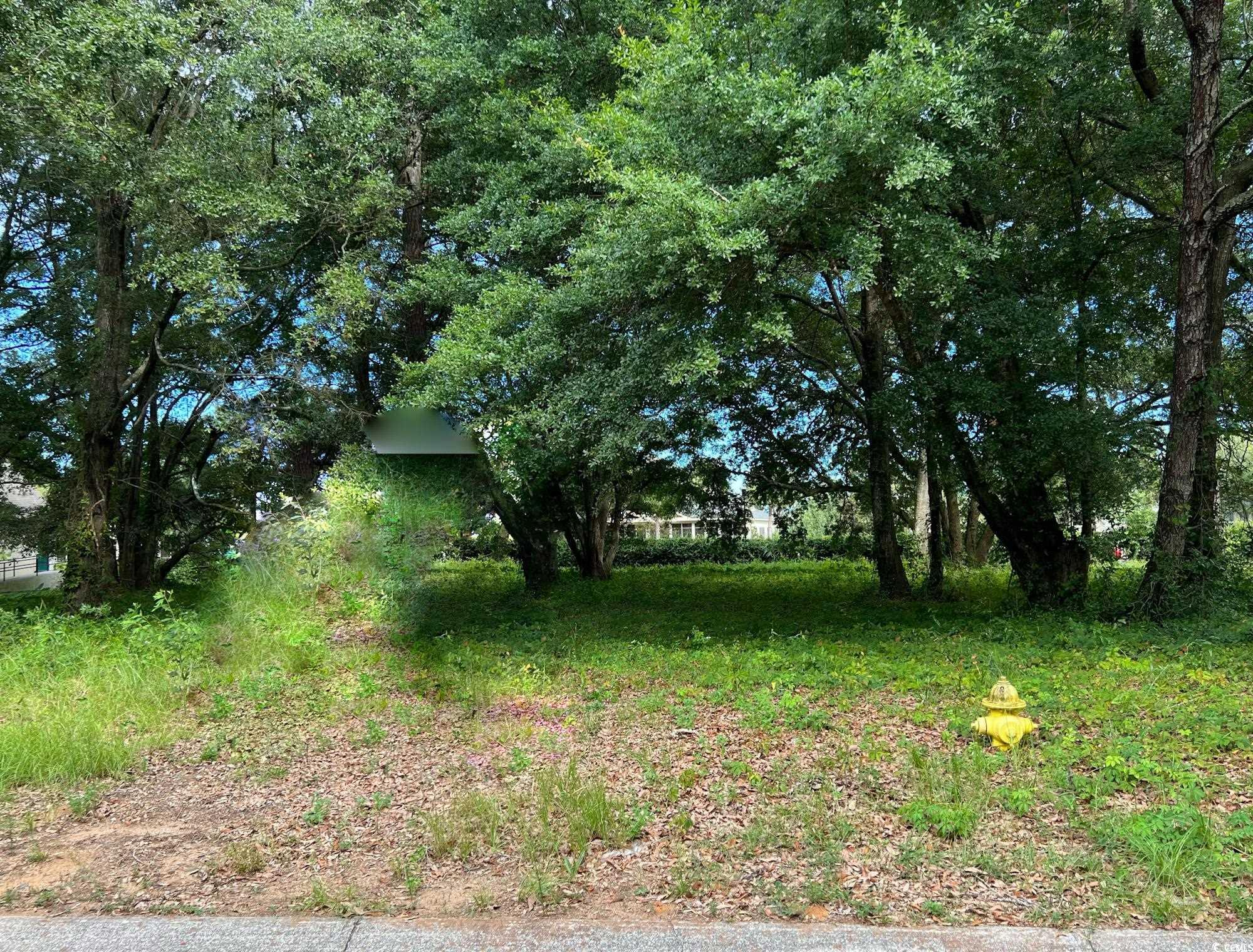1814542 | Photo 2