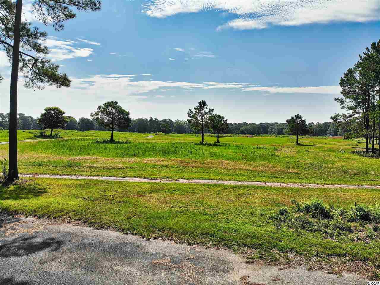 Photo 2 of Commercial at Tbd Highway 9, Longs, SC 29568 | MLS# 2015631 |  | Sold on 2021-02-16
