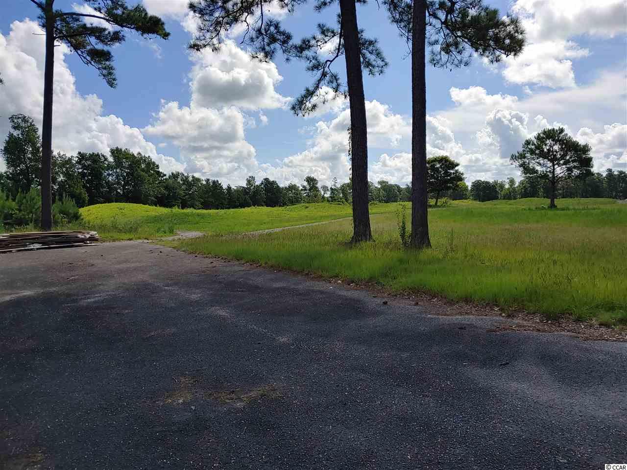 Photo 4 of Commercial at Tbd Highway 9, Longs, SC 29568 | MLS# 2015631 |  | Sold on 2021-02-16
